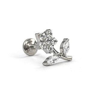Titanium Collection