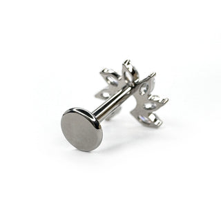 The Six oracles Silver Titanium Flat back