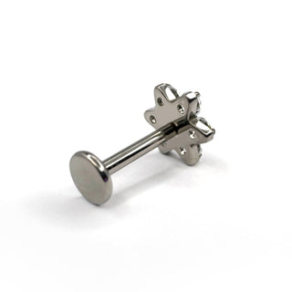 The rose silver titanium flat back