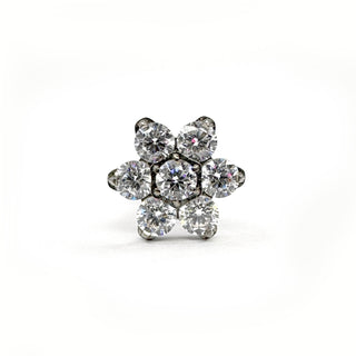 The rose silver titanium flat back