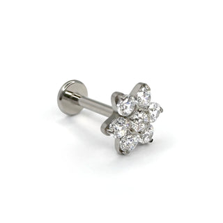 The rose silver titanium flat back