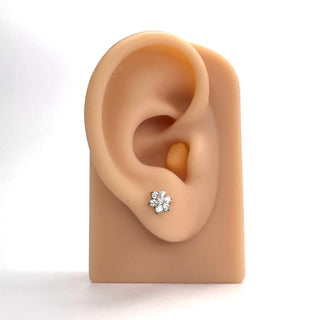The rose silver titanium flat back