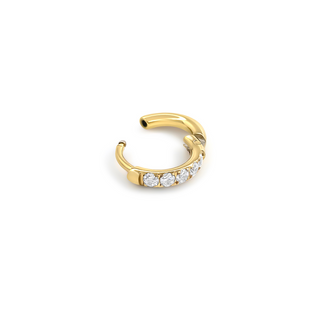 Golden Dusk Sparkle Ear Ring